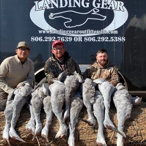 Meet your Posher, Cory